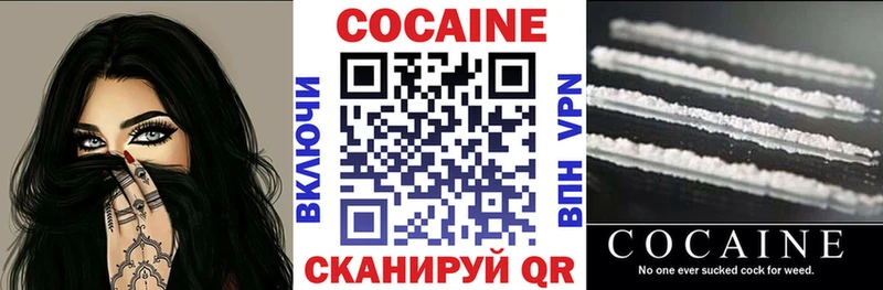 закладка  Камышлов  КОКАИН Fish Scale 