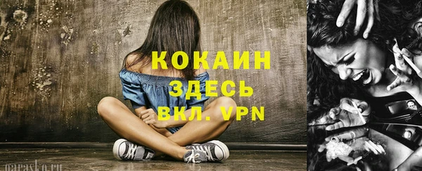 метадон Михайлов