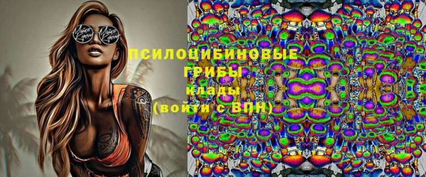 a pvp Михайловск