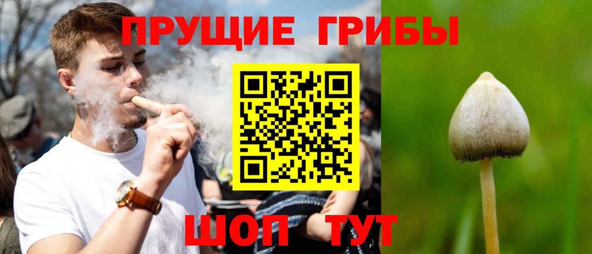 Галлюциногенные грибы Cubensis  Галлюциногенные грибы Magic Shrooms  Камышлов  Вход с VPN 